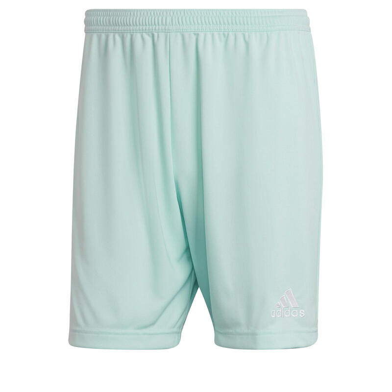 

Футбольные шорты Adidas, цвет türkisblau/lagunengrün/lagunengrün