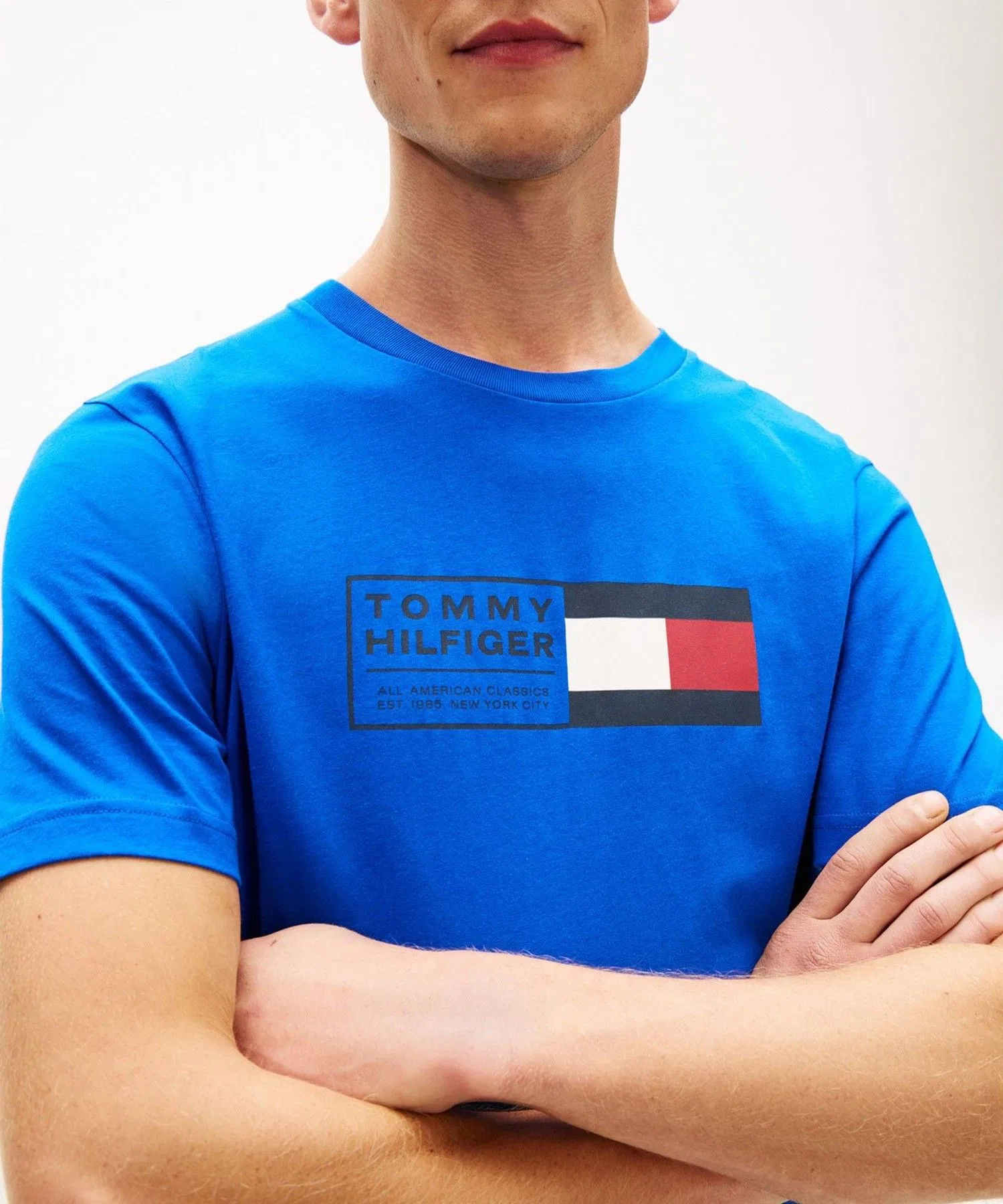 Мужская футболка с логотипом TOMMY HILFIGER синяя — фото 2