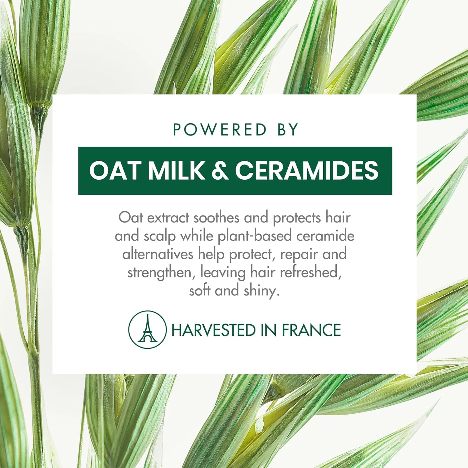 Сухой шампунь «Oat Milk Gentle Formula» для всех типов волос, 150 мл Klorane — фото 3