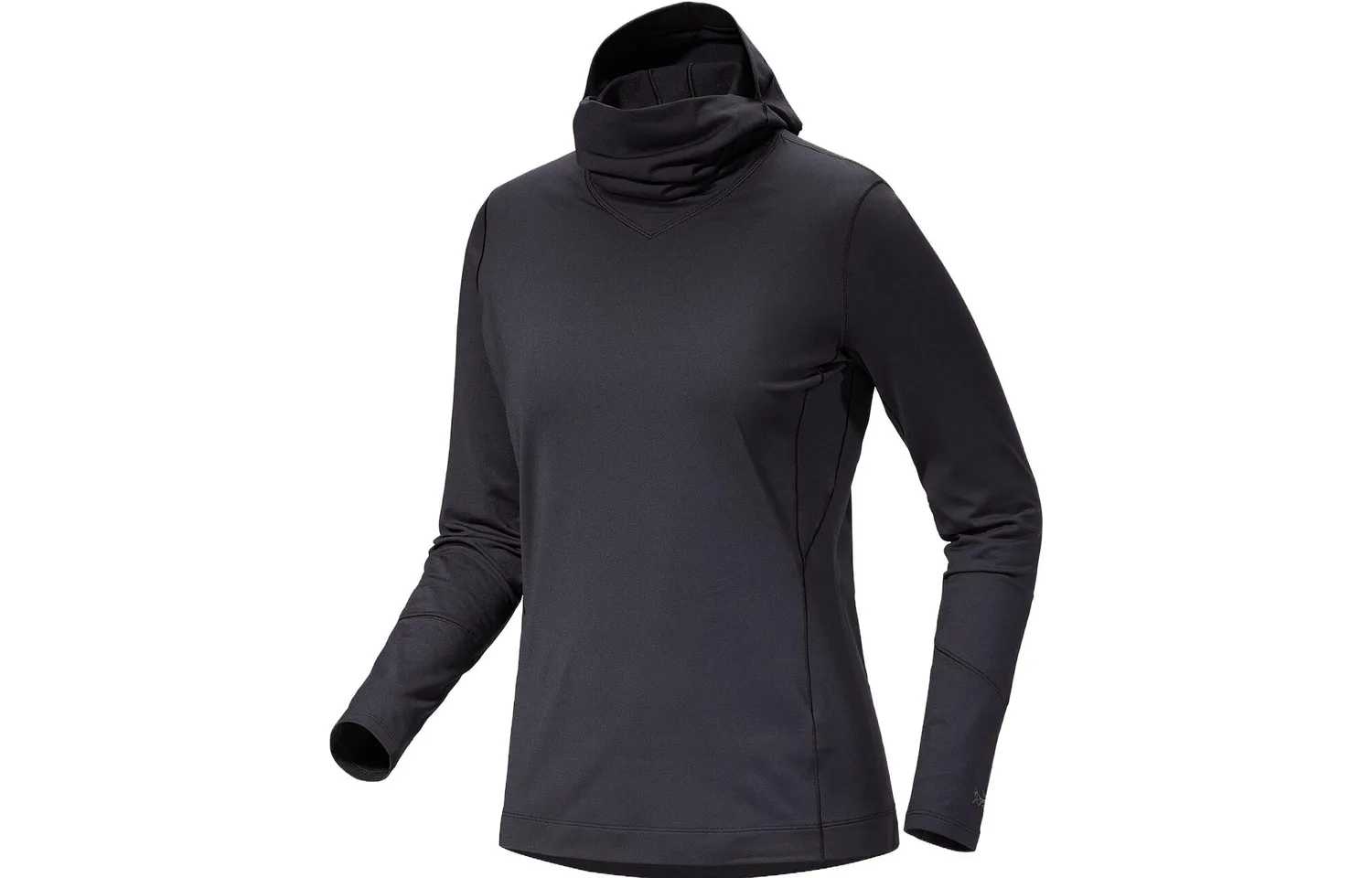 Толстовка с капюшоном Arc'teryx Rho, Polar White/Arctic Silk(ARS) — фото 3