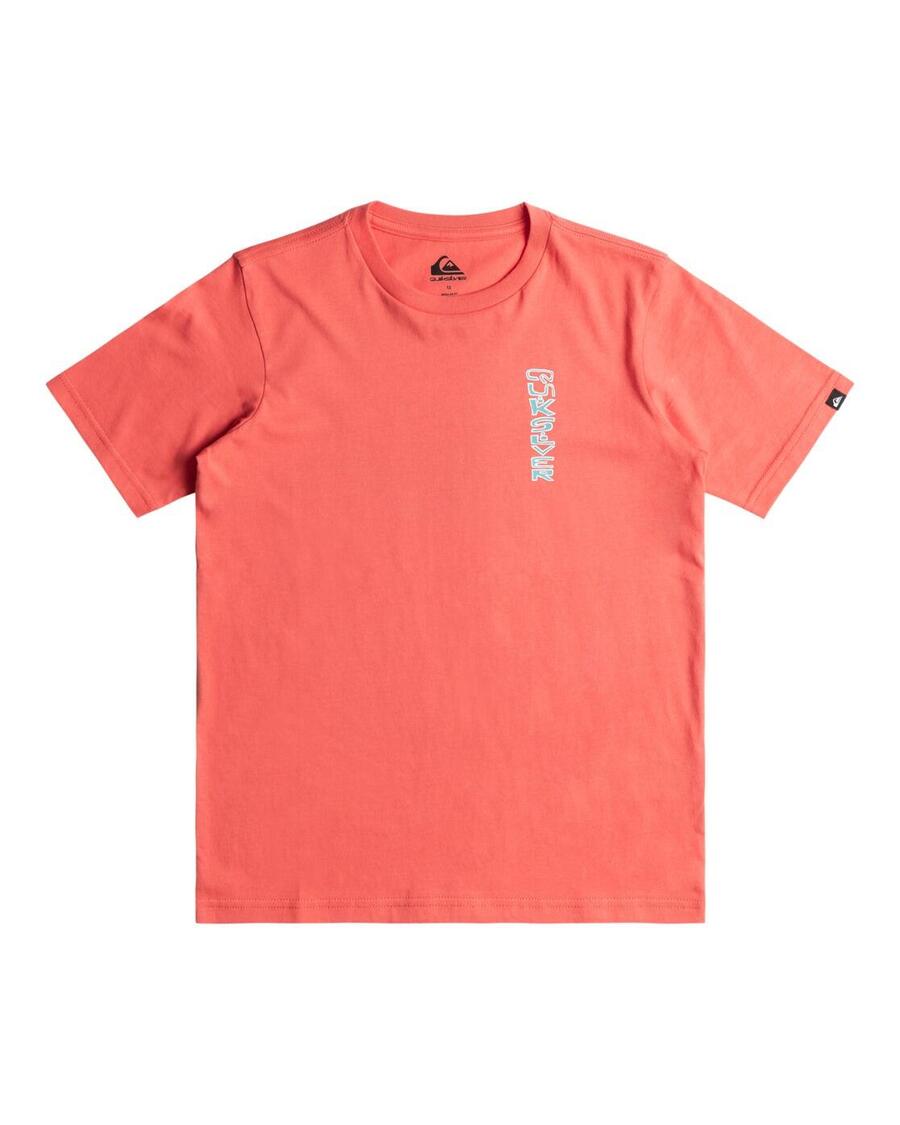 

QUIKSILVER Футболка WARPED Pink Boy