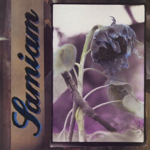 

Виниловая пластинка Samiam - Samiam - Black/Purple Splatter