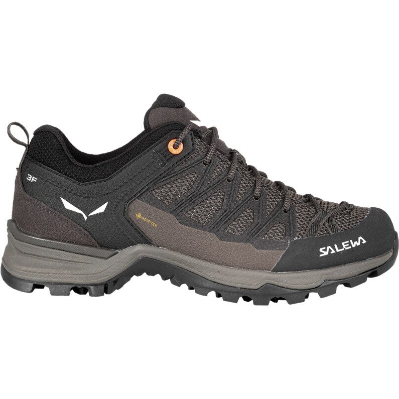 Женские туфли MTN Trainer Lite GTX Salewa, коричневый