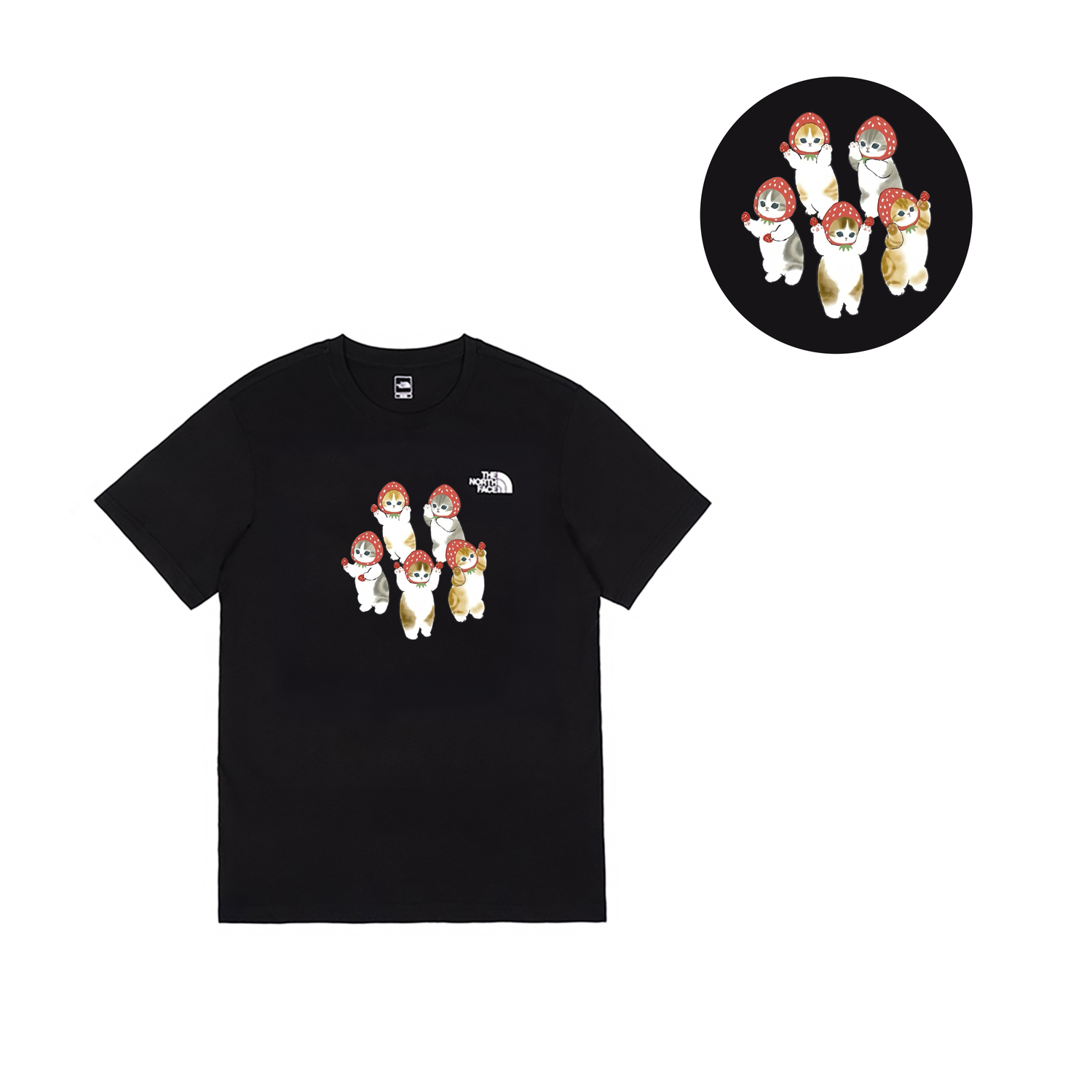 

THE NORTH FACE Футболка мужская черная, Черный, THE NORTH FACE Футболка мужская черная