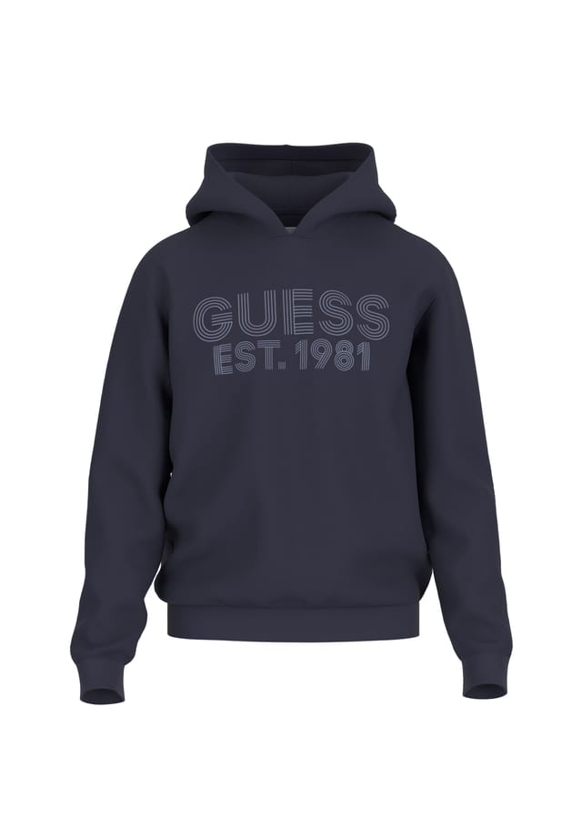 

Толстовка с капюшоном худи красавчик Guess, синий