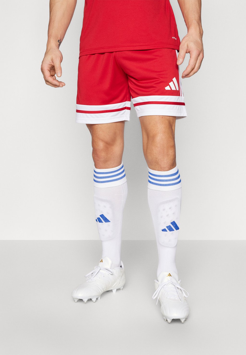 

Спортивные шорты SQUADRA adidas Performance, красный
