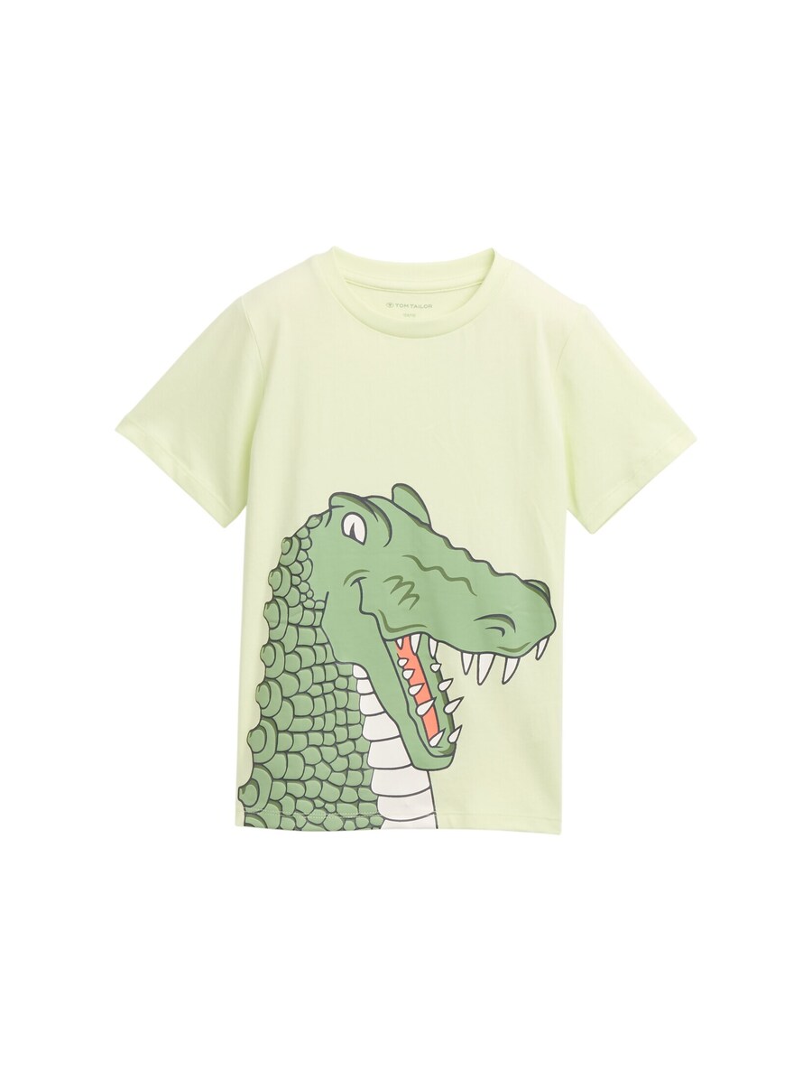 

Рубашка TOM TAILOR, цвет Green/Light green