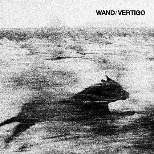 

Виниловая пластинка Wand: Vertigo