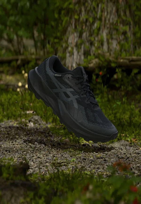 Кроссовки для трейлраннинга trabuco 14 gtx Asics, Black/Graphite Grey