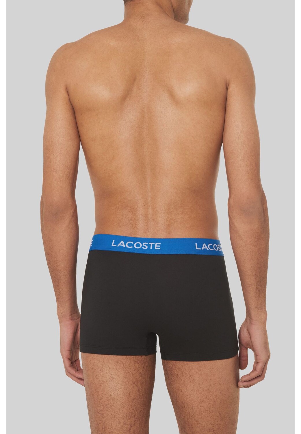 

Короткие трусы, 3 шт., пояс с логотипом, мужские LACOSTE, цвет Schwarzwaistband