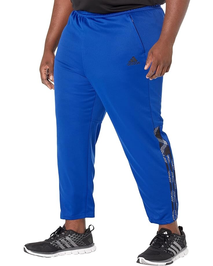 

Брюки adidas Big & Tall Tiro '21 7/8, цвет Team Royal Blue/Black