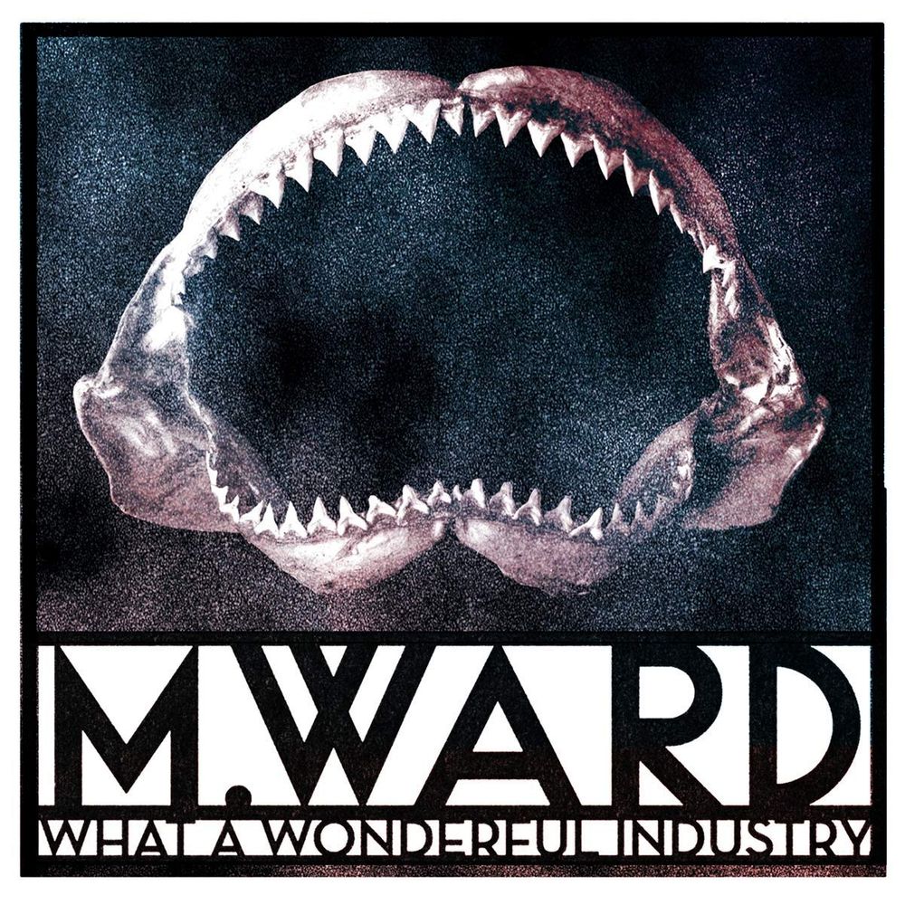 

Диск CD What A Wonderful Industry - M. Ward