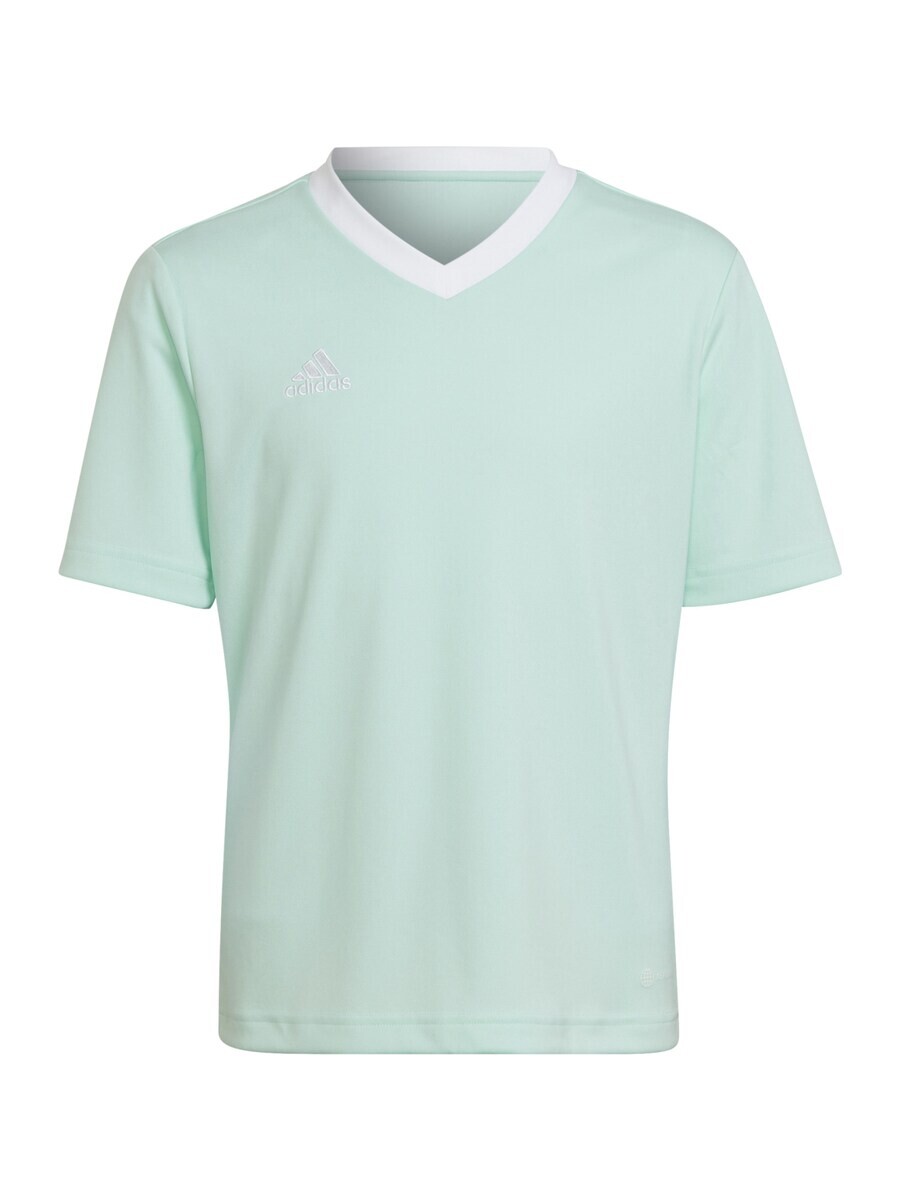 

Топ ADIDAS PERFORMANCE Performance Shirt Entrada 22, мятный
