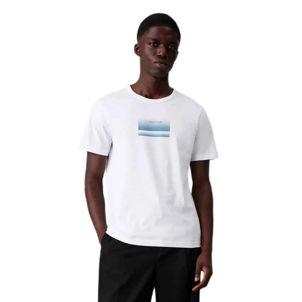 

Футболка Calvin Klein Gradient Logo, белый