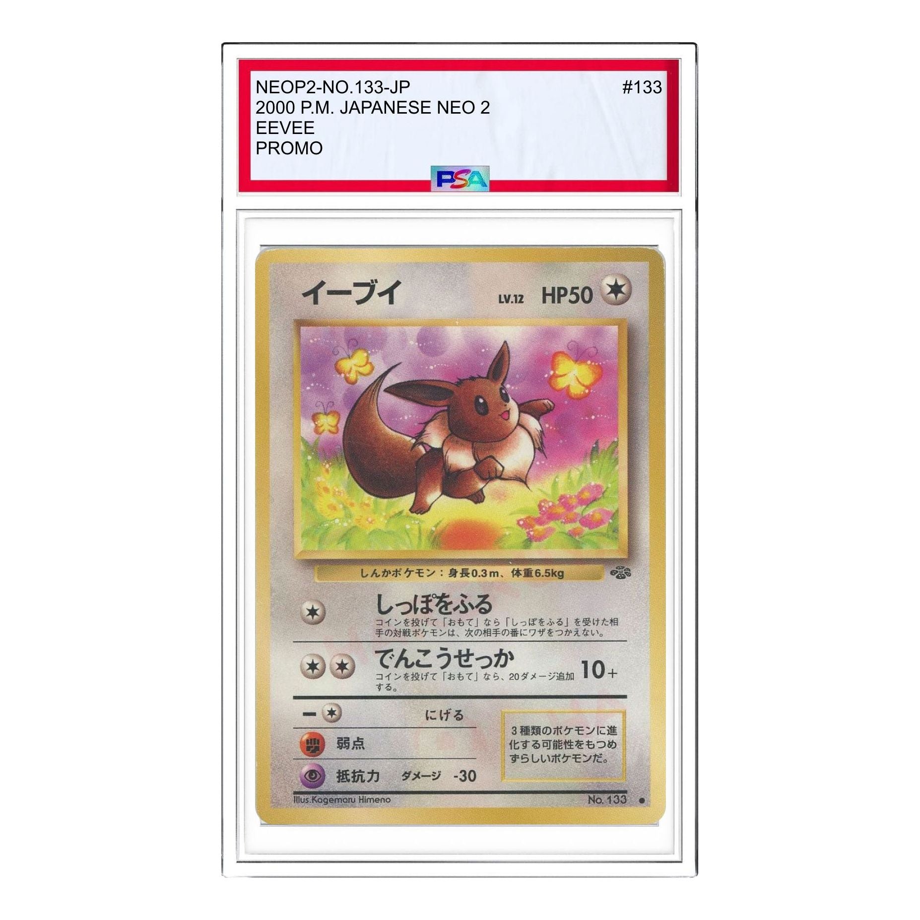 

Карта Pokemon Premium File 2 [neoP2 No.133] 'Eevee Premium File 2: Old Back'