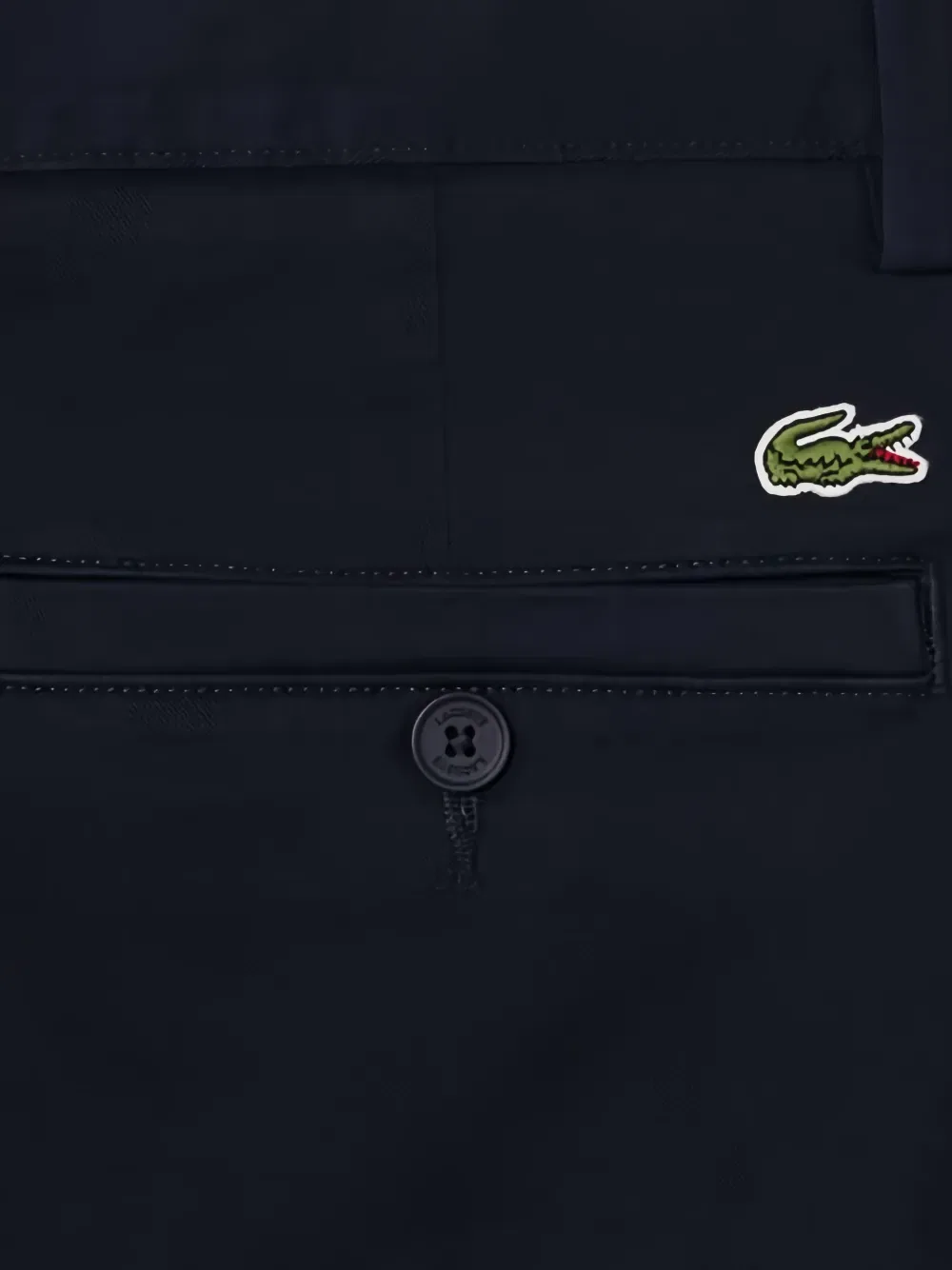 Синие брюки Lacoste — фото 3