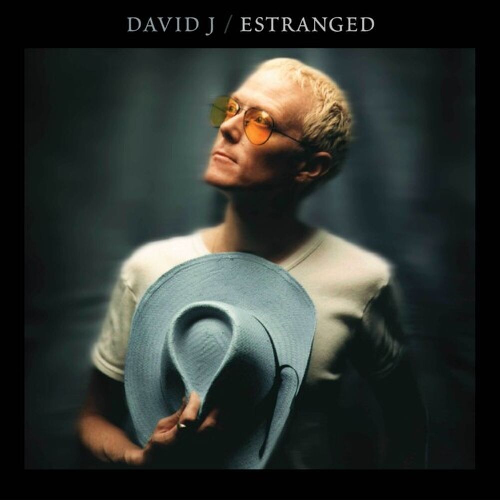 

Диск CD Estranged - David J