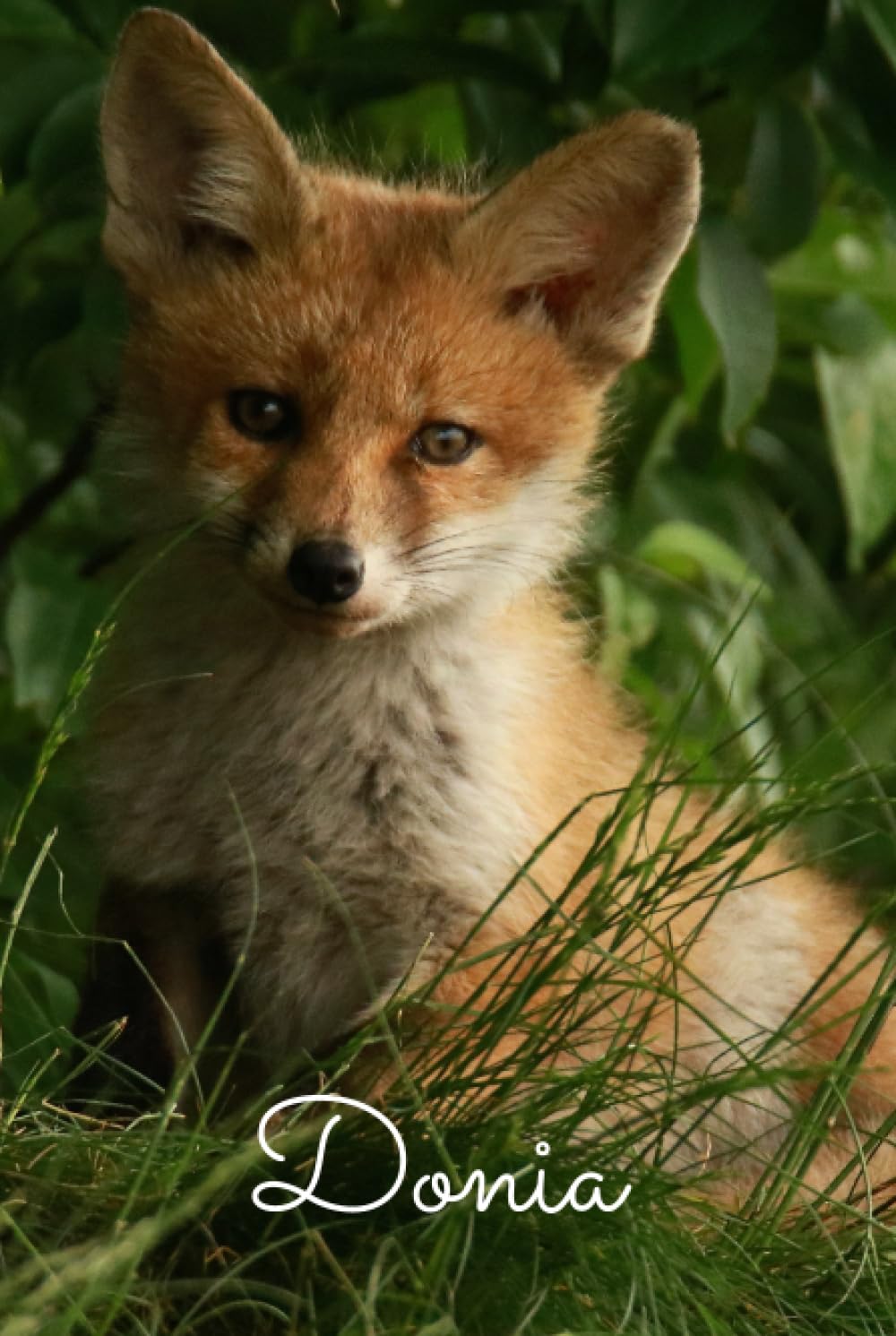 

donia (French Edition) (Independently published)