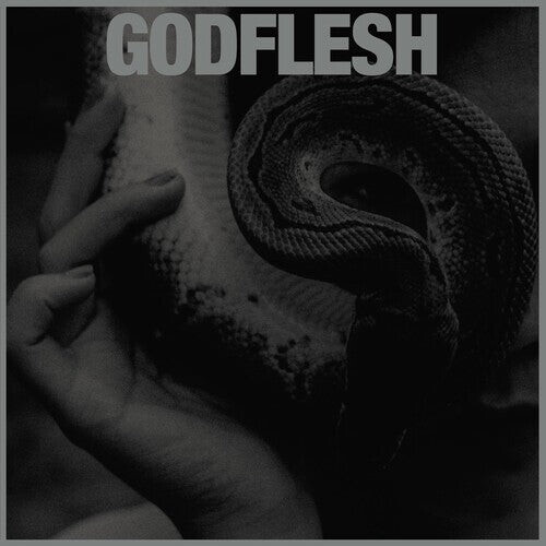 

Виниловая пластинка Godflesh: Purge
