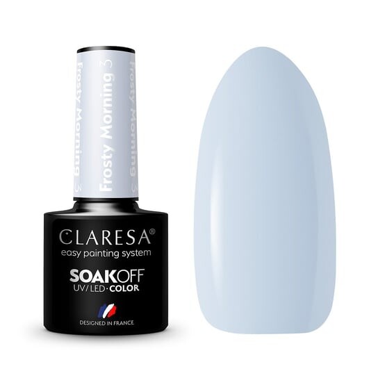 

Лак гибридный Claresa Frosty Morning 3 -5г