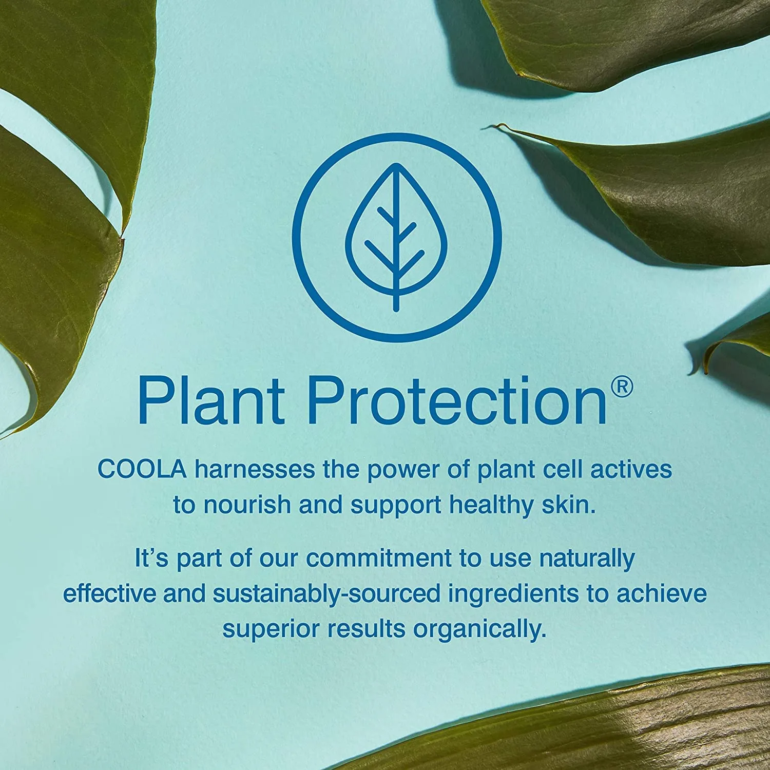 Солнцезащитный спрей COOLA Organic Sunscreen SPF 70, протестирован дерматологами, обеспечивает ежедневную защиту кожи, подходит для веганов и не содержит глютена, аромат персикового цветка. 177 мл (2 шт.) — фото 4