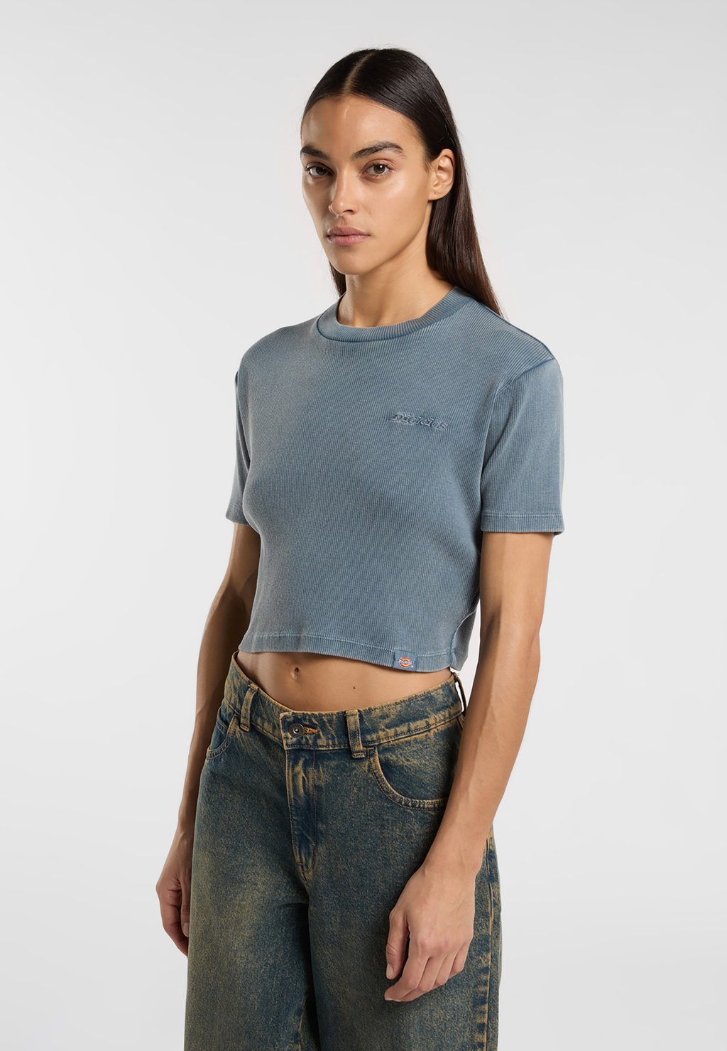 

Базовая футболка PLENTYWOOD TEE Dickies, серый