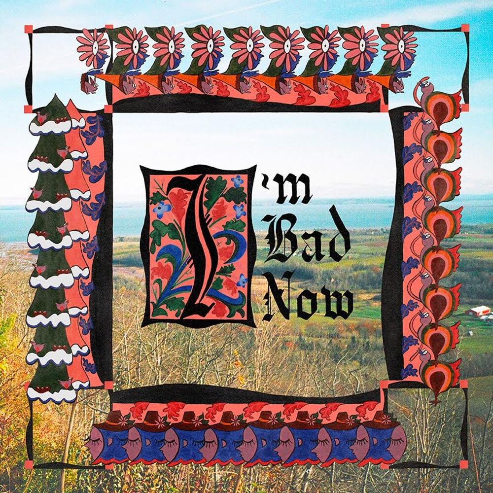

Диск CD I'm Bad Now - Nap Eyes