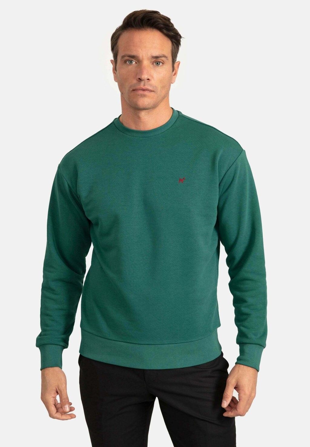 

Толстовка Half Oversize Williot, цвет petrol green