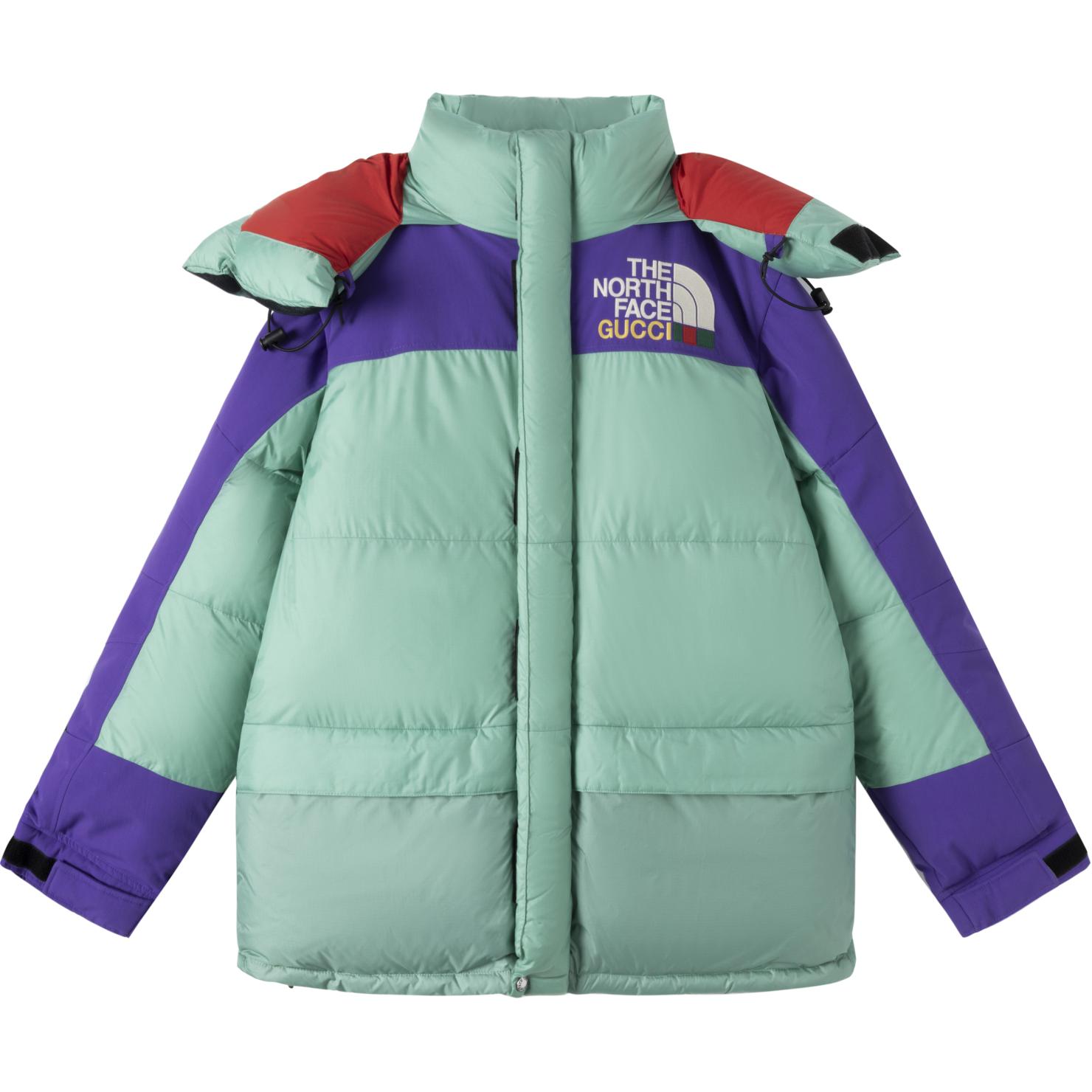 

Куртка мужская North Face X Down, многоцветная Gucci, мультиколор