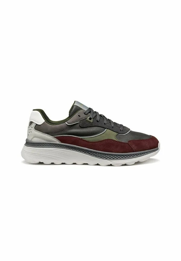 Низкие кроссовки Geox, Multi-Coloured