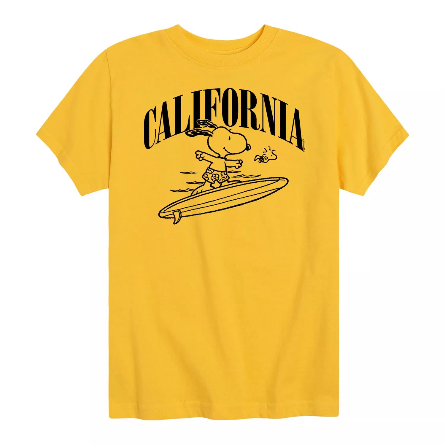 

Футболка с рисунком Peanuts California Surfing для мальчиков 8–20 лет Licensed Character