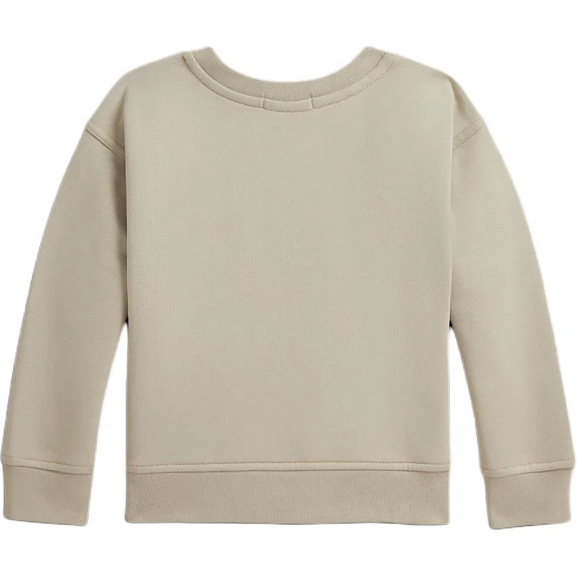 Свитшот детский большого размера Polo Ralph Lauren Classic Stone — фото 3