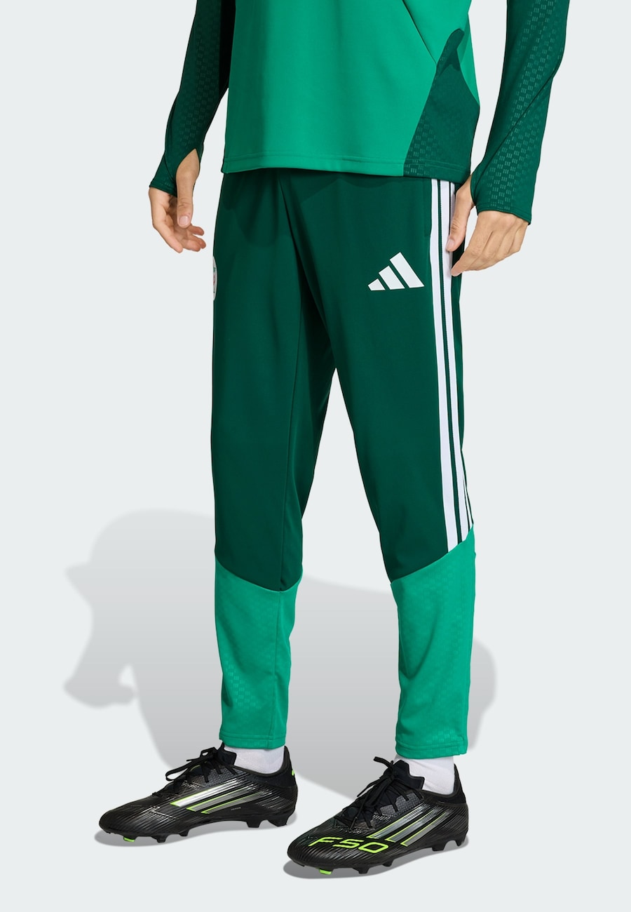 Облегающие спортивные брюки ADIDAS PERFORMANCE Algerien 26, Green/Fir — фото 2