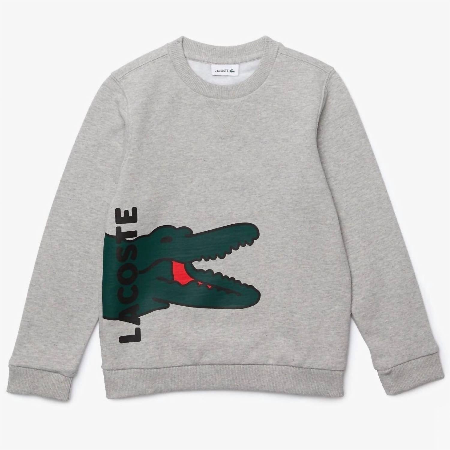 

Серый худи для мальчиков Lacoste