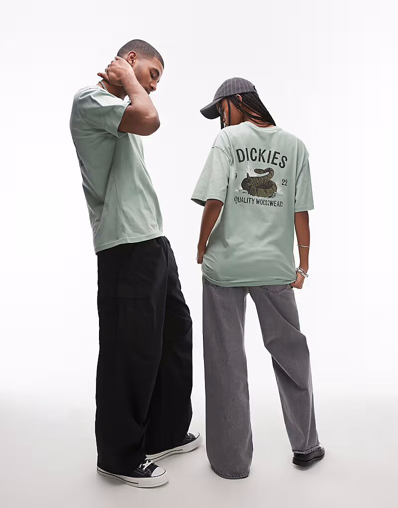 

Футболка Dickies с графическим принтом змеи на спине светло-зеленого цвета