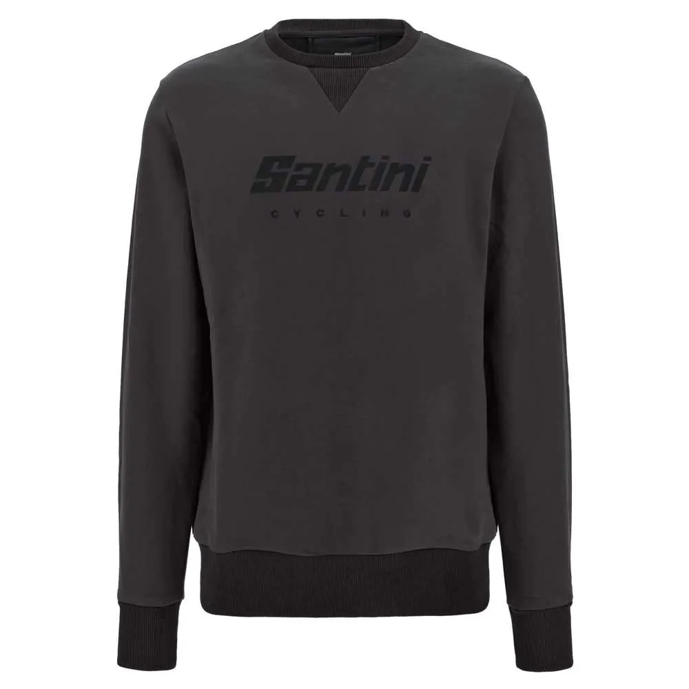 

Толстовка Santini Logo, серый