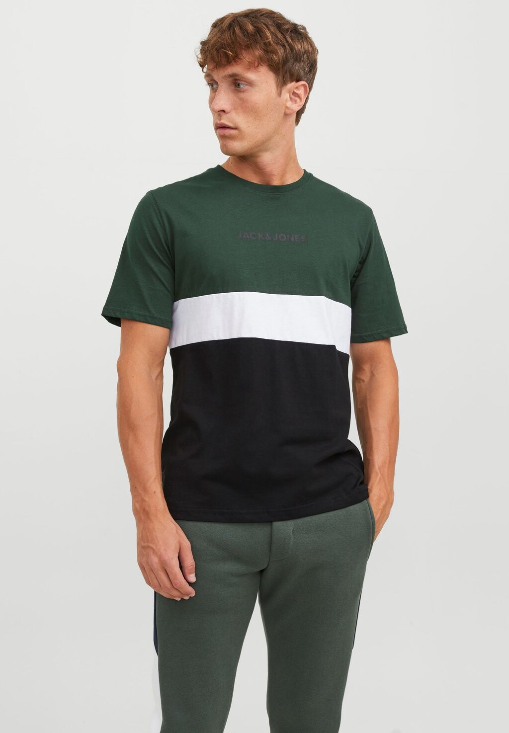 

Футболка с принтом JJEREID BLOCKING NOOS Jack & Jones, вид на горы