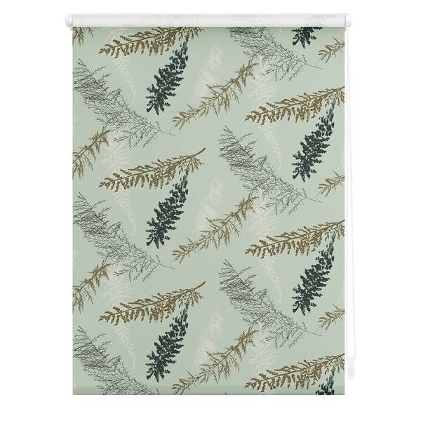 

Рулонные шторы Lichtblick Fir Branches, 80x150x6 см, зеленый