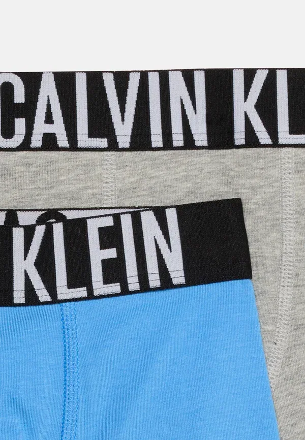 Трусы боксеры 2 шт Calvin Klein Underwear, сине-серый — фото 4