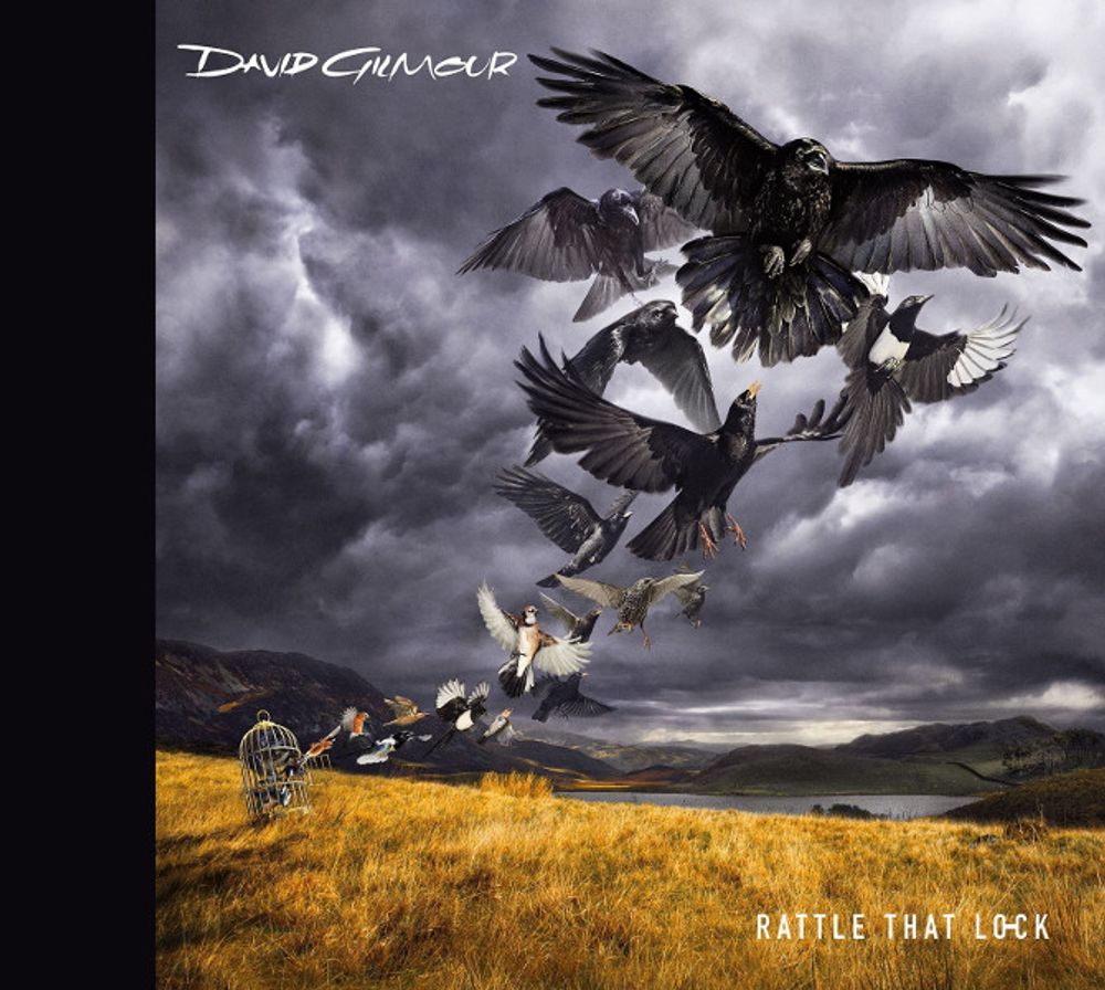 

Диск CD Rattle That Lock - David Gilmour