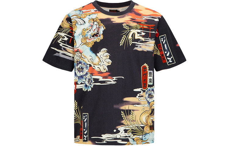 

Футболка мужская многоцветная Evisu, цвет Multicolor