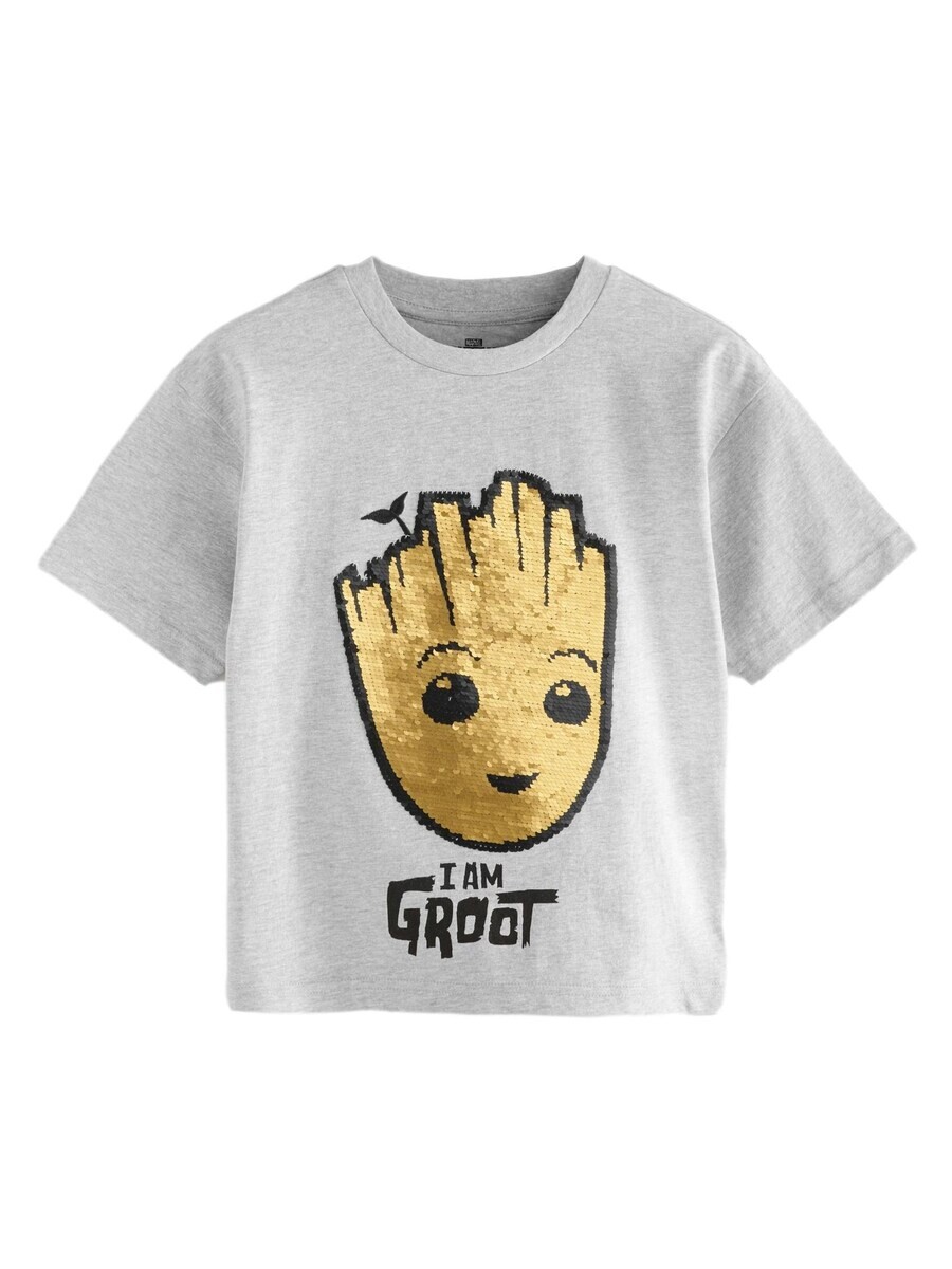 

Футболка Next Shirt Groot Lizenziertes, серый