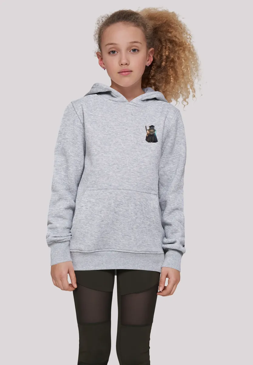 

Толстовка F4NT4STIC "Wizard Cat HOODIE UNISEX", принт, серый