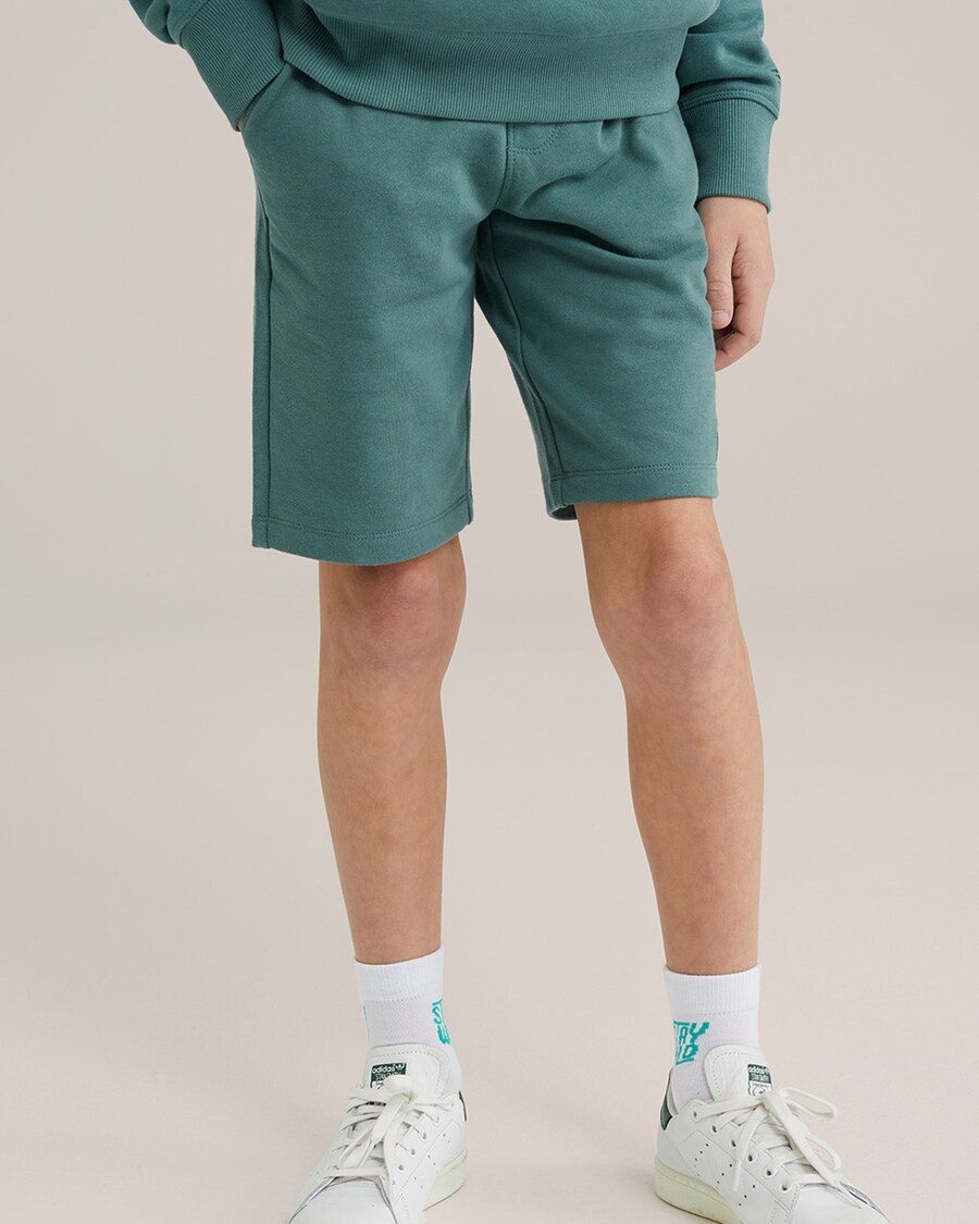 

Обычные брюки WE Fashion, зеленый