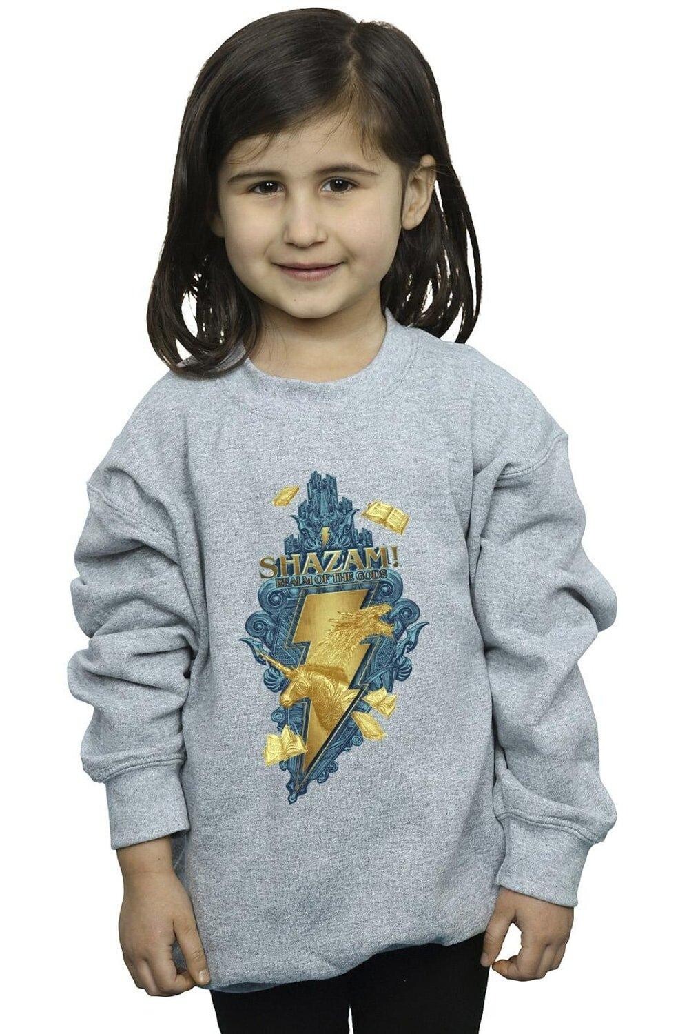 

Толстовка Shazam Fury Of The Gods Golden Animal Bolt DC Comics, серый