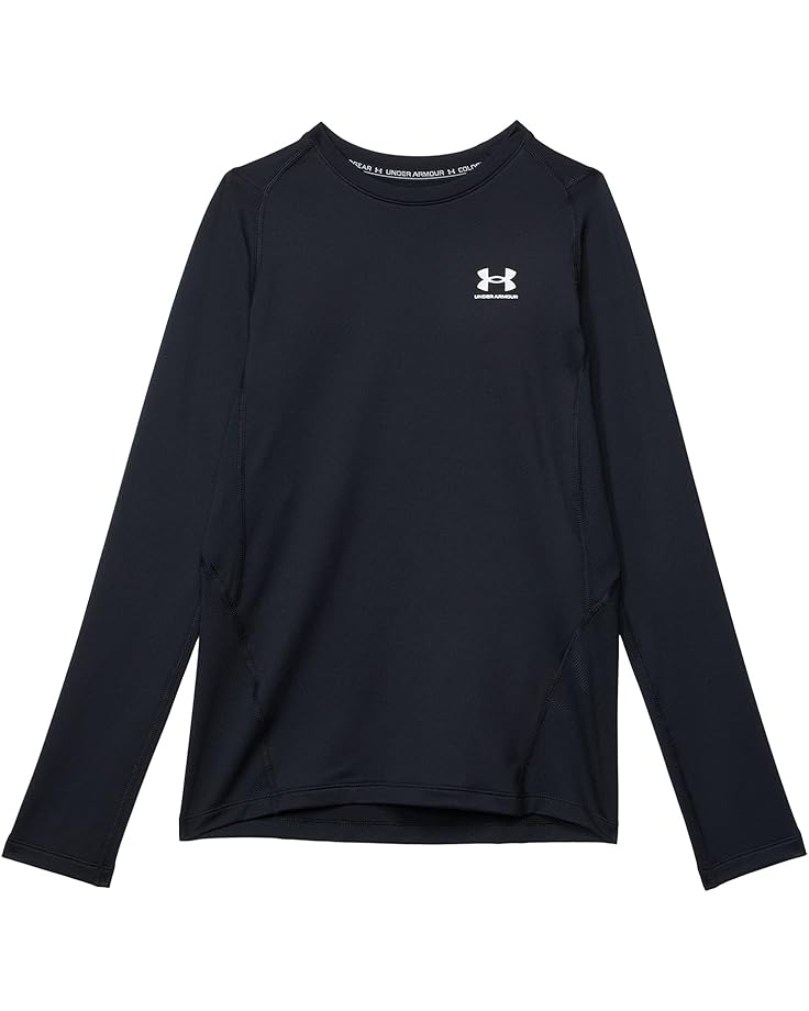 

Толстовка Under Armour Kids ColdGear Armour Long Sleeve T-Shirt, черный/белый