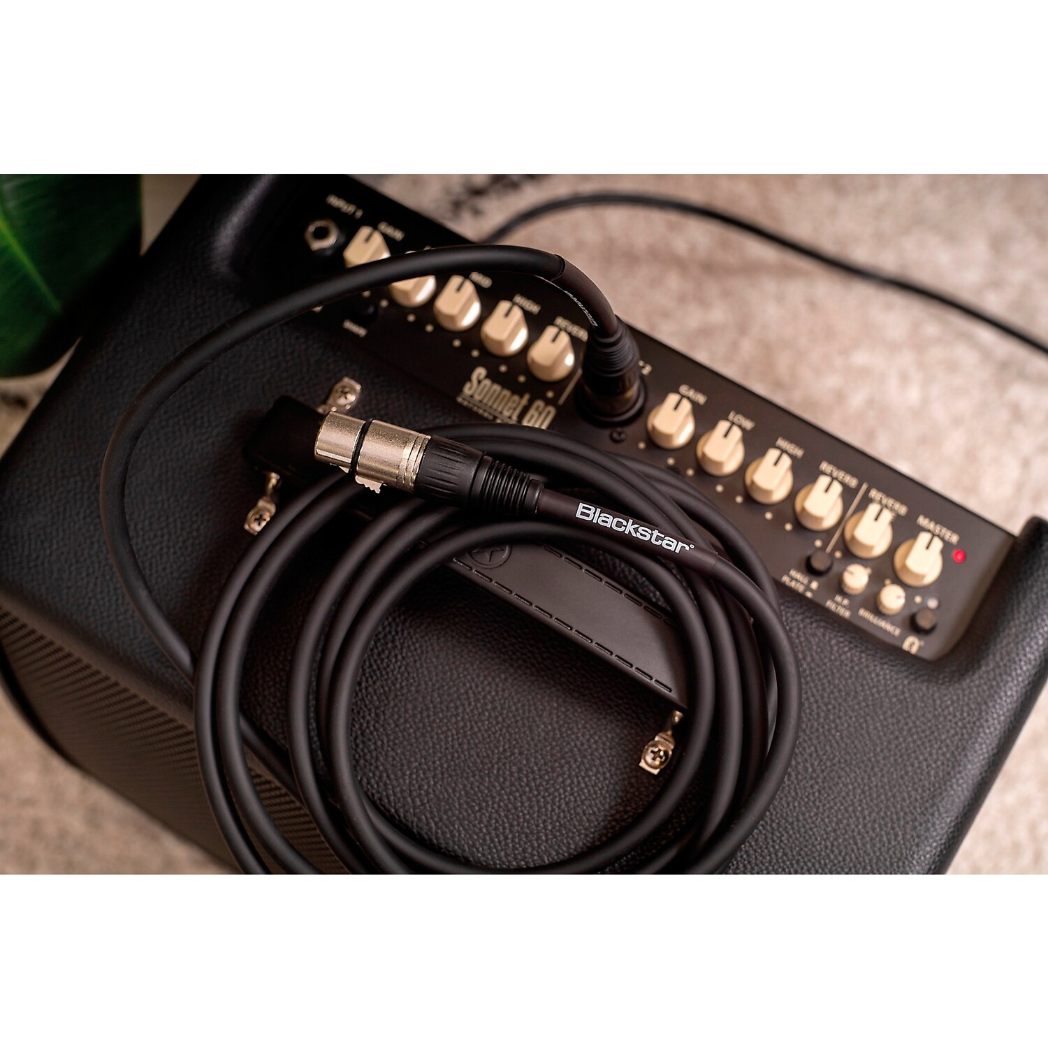 

Микрофонный кабель Blackstar XLR, 10 футов, черный