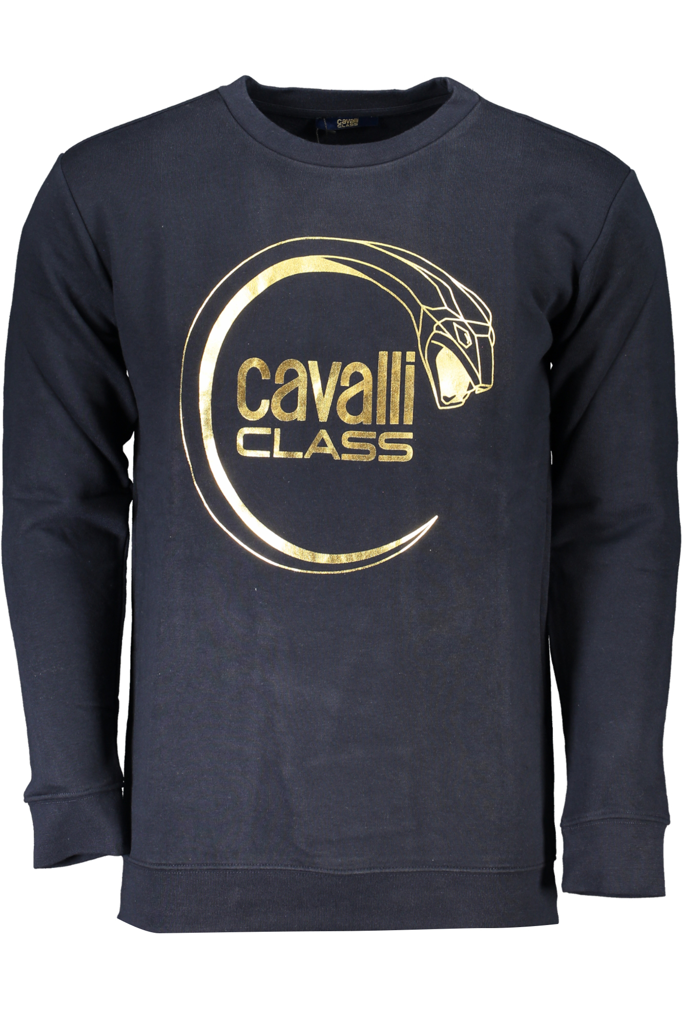 

Толстовка мужская Cavalli Class, синий / золотой