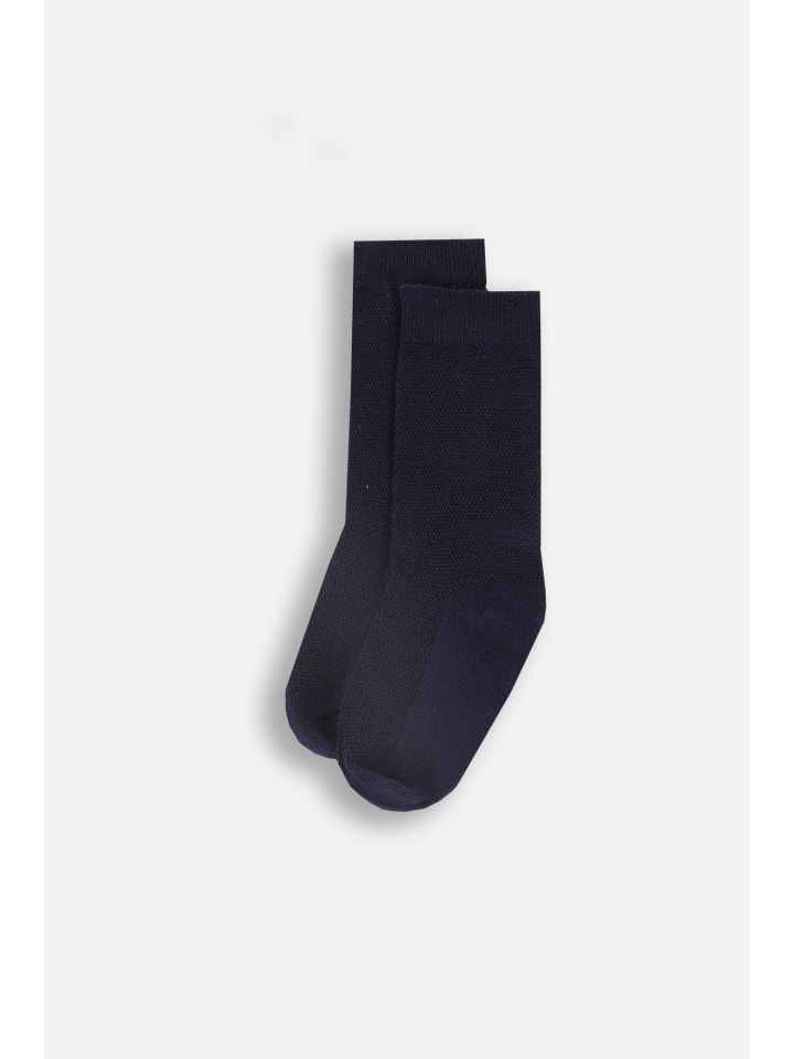 

Coccodrillo Темно-синие носки