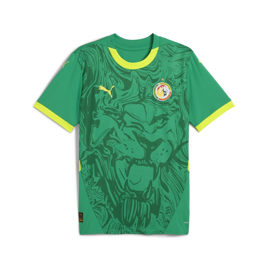 

Джерси PUMA, зеленый